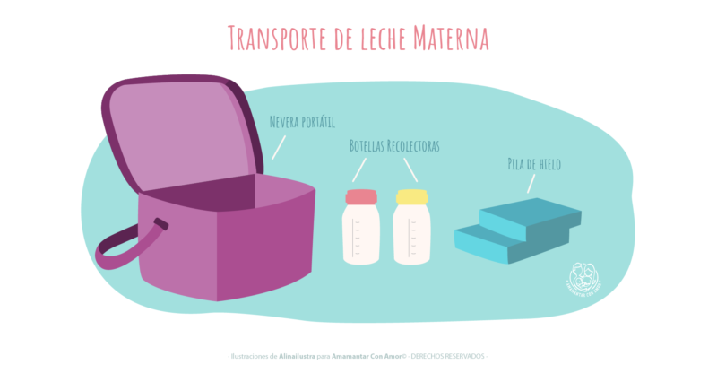 Cómo conservar la leche materna? – Mater Training